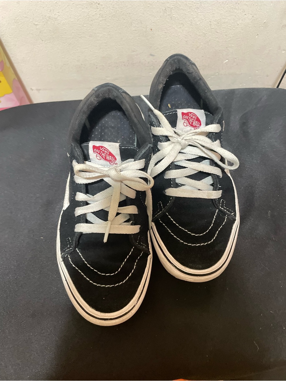 Vans Black and White Low-Top Skate Sneakers
